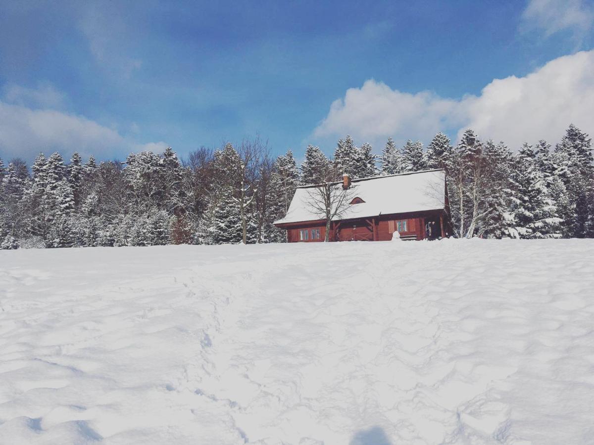 Holiday home Znam Widok - Bieszczady *